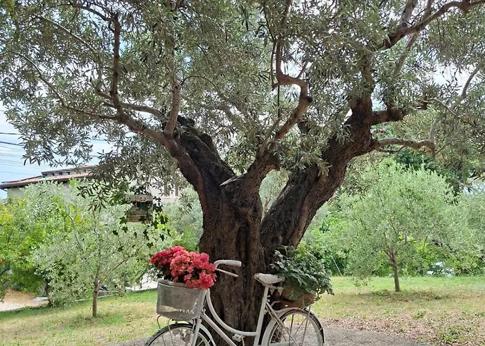 Collina Fiorita